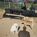 죽빵훈련소 이미지