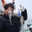 피쉬팩토리 이미지