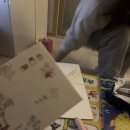 피터팬피자&치킨 | 하림식당보고알바후기!🔥+2026년 시작!