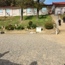 No.50 파주 학교안풍경캠핑장 (2024.11.2~3)