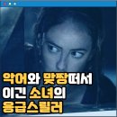 영화 크롤 후기 결말 줄거리 작품정보 출연진 한여름의 악몽 악어와의 사투를 벌인 아빠와 딸 Crawl (2019)