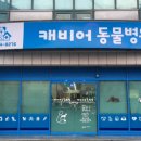 캐비어동물병원 이미지