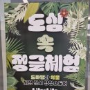 크레팍스 스토어 | 도심 속 정글체험(신호트리 & 크레팍스) 체험전시 팝업스토어 후기