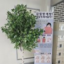 나성중학교 이미지