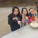 용인대쌍용태권도 이미지