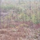 비내섬 화장실 이미지