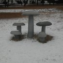 세하 이미지