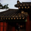 운봉동물병원 | 창경궁은 포근하다.