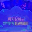 여우야늑대야 | 대구 어린이세상 아기상어 뮤지컬 공연 맨앞줄 나구역 시야 및 관람후기