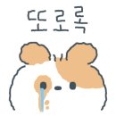 셀젠 이미지