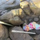 (주)자연과 사람들 이미지