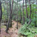 백화산호국의길 이미지