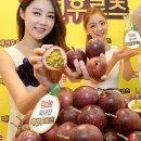 후르츠서울 이미지