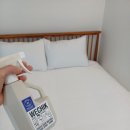 속초스테이온담 이미지