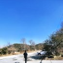 현충원본가 이미지