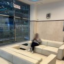 토요코인 서울강남 | 서울 강남 숙소 추천 &#34;토요코인 강남점&#34; (내돈내산, 트윈룸 후기, 가성비굿)