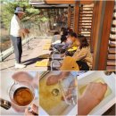 상쾌한숲속약국 | 2026 동두천 시티투어 체험형 자연 속 힐링과 체험이 가능한 치유의 숲