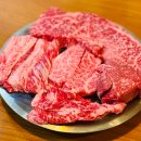 장안갈비마을 | 수원 한우 소고기 가성비 맛집 프라이빗한 룸도 있는 이목동 한우마을