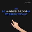 'Netizen 신비동물의 왕국' 2017. 10. 29(일요특집) 이미지