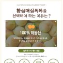 지일푸드 이미지