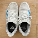 세탁하는날 | 운동화 세탁세제 없어도 집에서 신발 세탁하는 방법