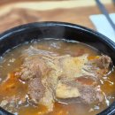 동일가든 | 제주도 말고기 추천 말한마리가든 내돈내산 솔직후기