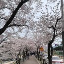 덕풍천서로 이미지