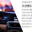 틴트리 이미지
