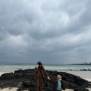 왕성목장 이미지