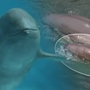 미래카써비스 이미지