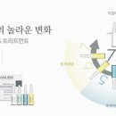 아누비스에스테틱 이미지