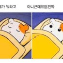 머리여행 이미지