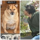 황장군 이미지