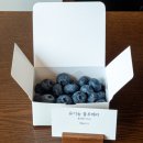 망원동 디저트 맛집 라바즈 과일 타르트 수제카라멜 포장 후기