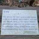 제주올레 11코스 : 모슬포 바당 길, 돌고래 투어, 모슬봉, 신평 밭 담길, 정난주 마리아 묘, 신평-무릉...