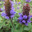 바다그린 이미지