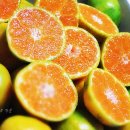 하림농장 이미지