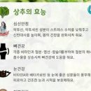 상추 먹으면 효능 칼로리 안효능 세척 보관법 이미지