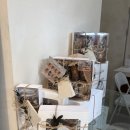 소통농장 | 경기 광주 빵이 맛있는 느좋 식물 카페 &#39;유칼립투스 농장&#39; 내돈내산 후기 재방문의사 100% !!!!