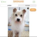 짱구네동물병원 이미지