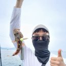 대득호