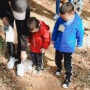 아콘유아숲체험원 이미지
