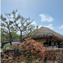 자연을향한대화 이미지