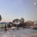 팰리스차이나 | 과천성당 옆 중식 맛집! 메밀면이 매력적인 ‘팰리스 차이나’ 솔직 후기