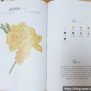 연필스케치(중급) 이미지