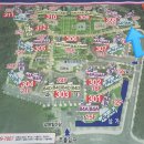 라인마트(3차) 이미지