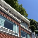 마산합포구 ⓔ-28 | 창원 마산 제철 미더덕 맛집, 회부터 덮밥까지 진동고현횟집 후기