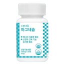 위드바이오 | 마그네슘영양제 추천 [위드바이오 마그네슘 700mg 60정] 눈떨림에 좋은 고함량마그네슘보충제