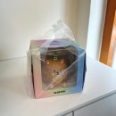 윤이케이크 | 동래 사직동 주문제작 케이크 맛집 하리노 케이크&디저트 귀여운 곰돌이 생일케이크 후기