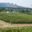 기흥호수공원(생태) 이미지